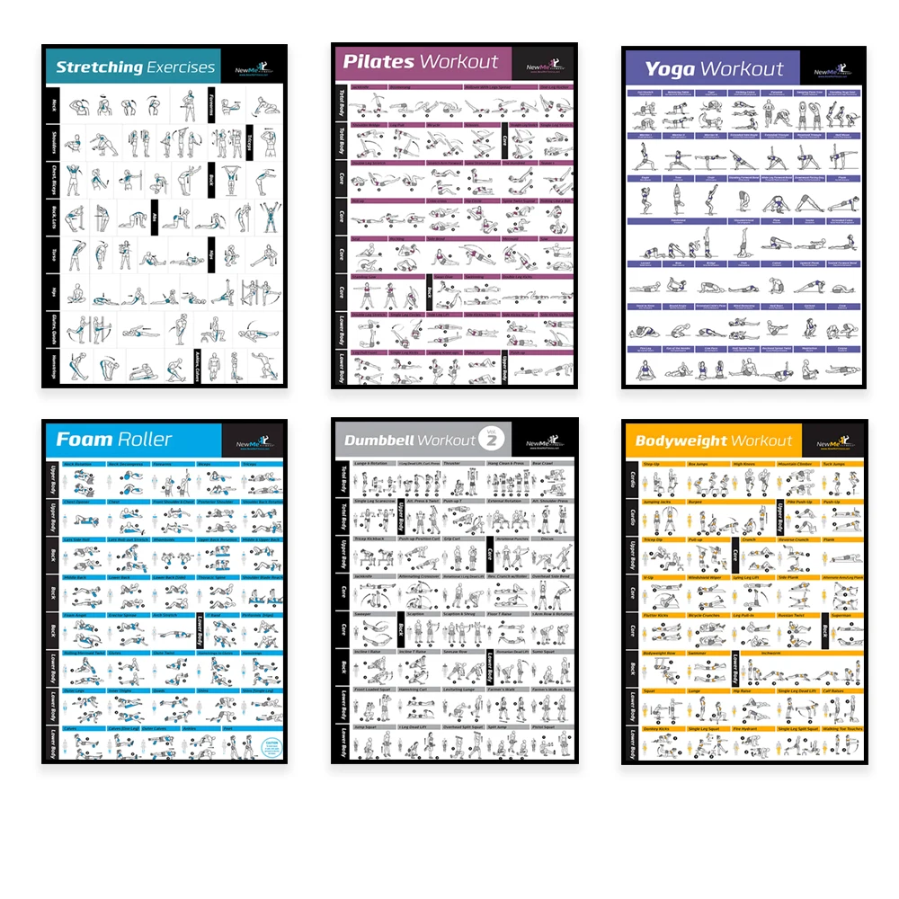 Body Exercise Training Chart W - đánh giá và giá Home Gym Aesthetic
