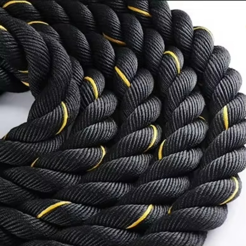 Workout Exercise Battle Rope F - đánh giá và giá Leg Home Gym Workout