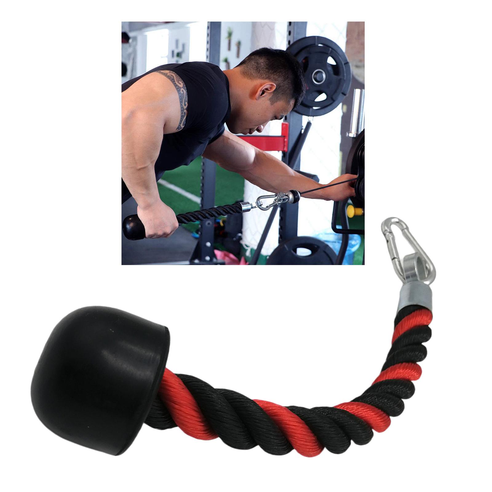 Cơ Tam Đầu Dây Đơn Cầm Cáp Ròn - đánh giá và giá Lat Pulldown Cable