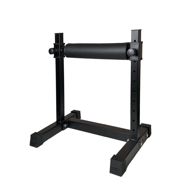 Adjustable Single Leg Squat St - đánh giá và giá Leg Home Gym Workout