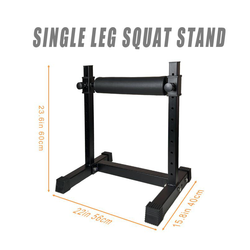 Adjustable Single Leg Squat St - đánh giá và giá Leg Home Gym Workout
