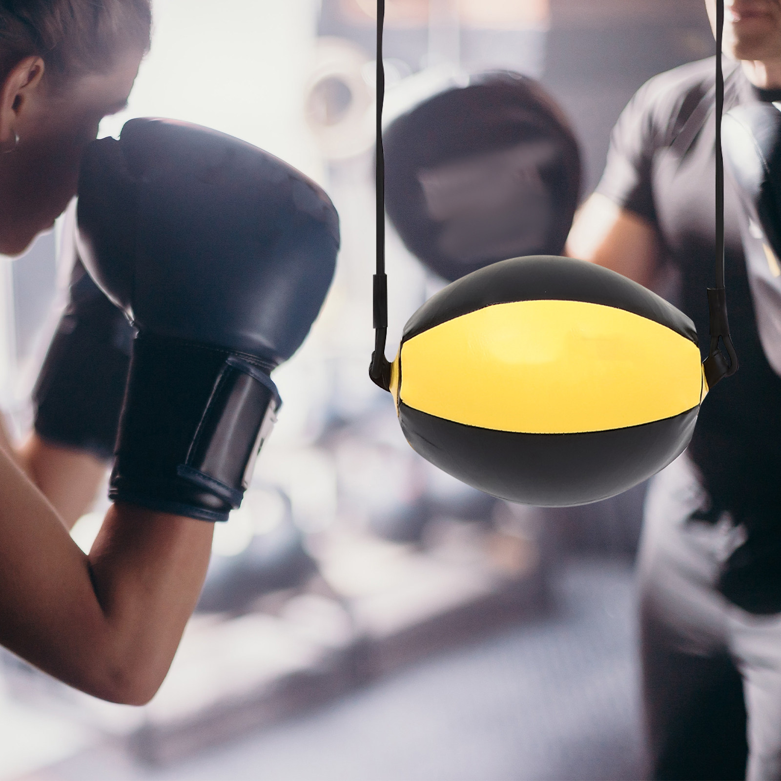 Double-End Speed Ball Portable - đánh giá và giá Speed Bag Boxing
