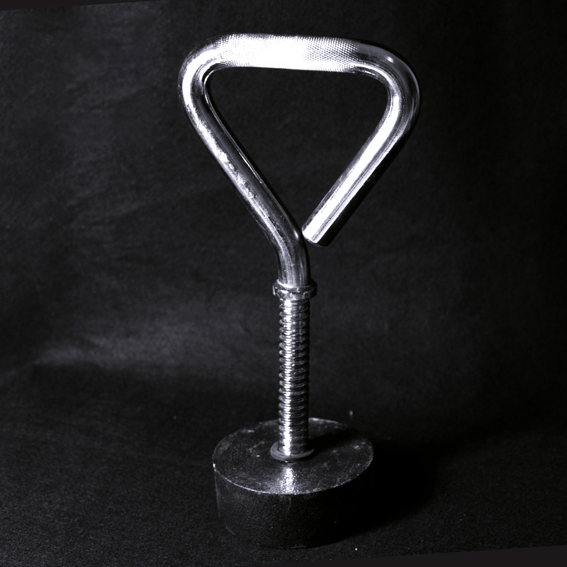 Adjustable Fitness Kettlebell  - đánh giá và giá Leg Home Gym Workout